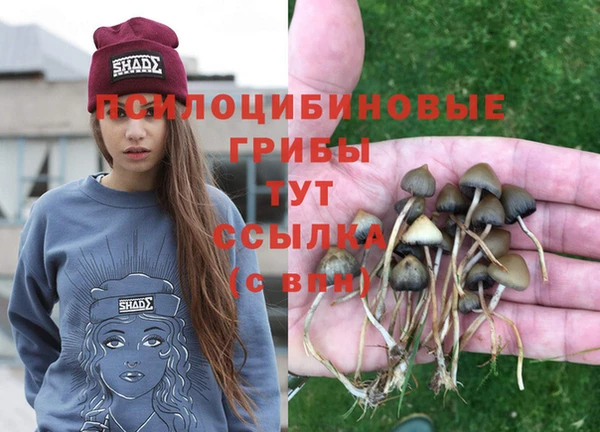гидропоника Осинники