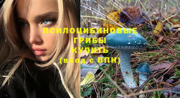 гидропоника Осинники