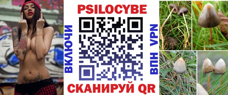 Псилоцибиновые грибы прущие грибы  Покров 